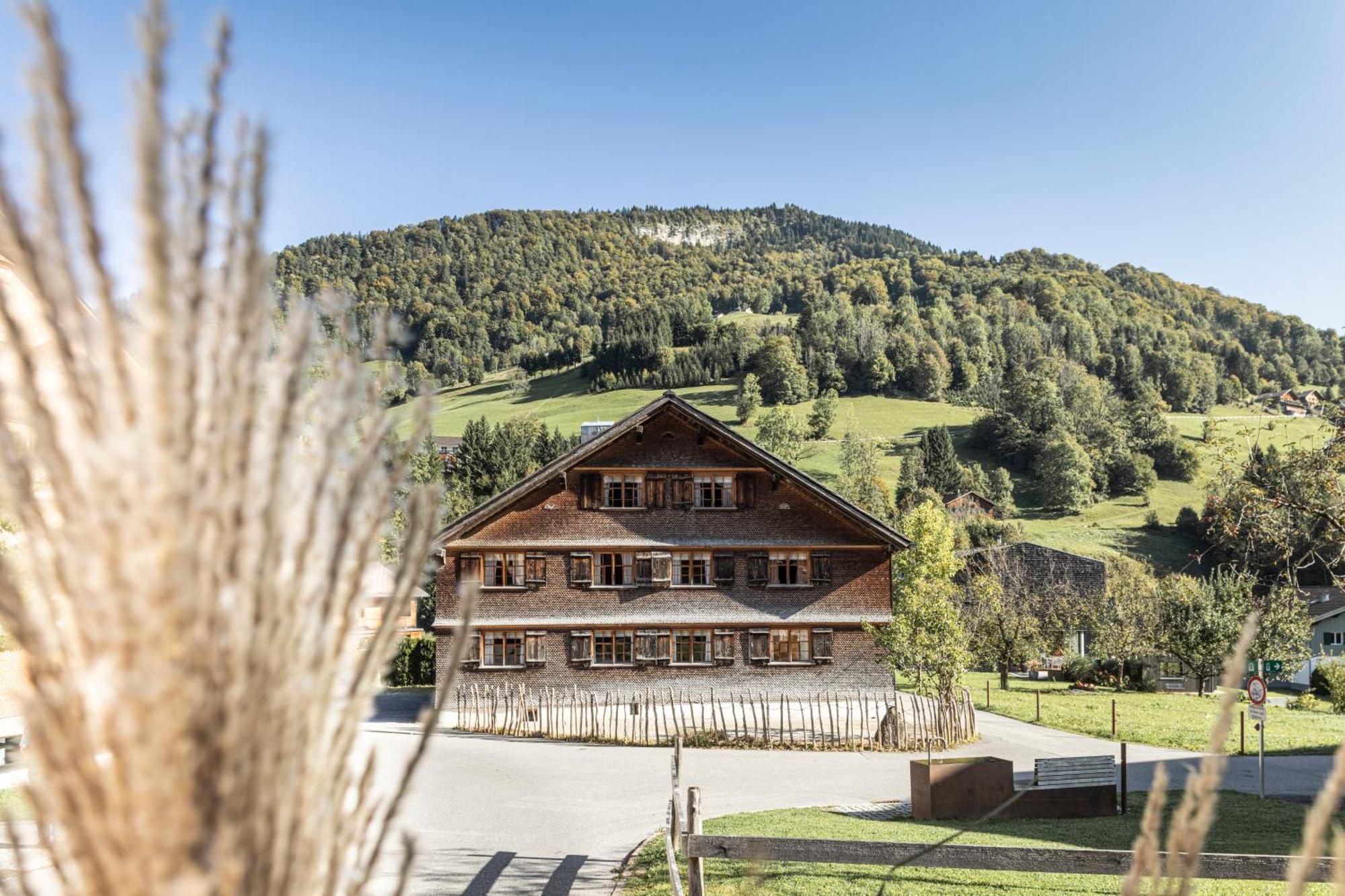 Naze'S Hus Mellau Hotel Buitenkant foto