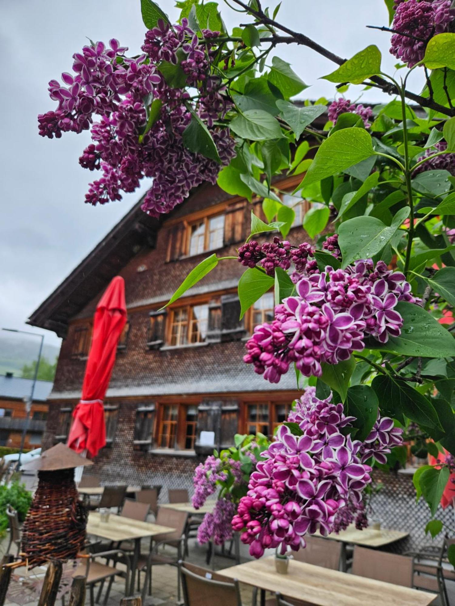 Naze'S Hus Mellau Hotel Buitenkant foto